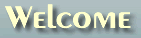Welcome to Fyling Fish Marine Caruretors
